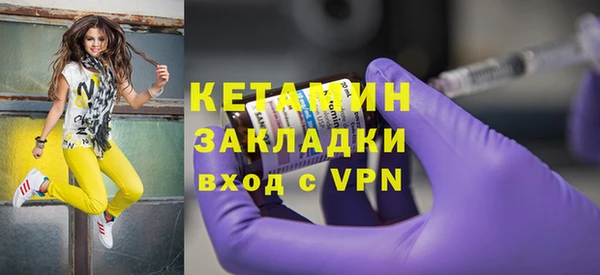 шишки Надым
