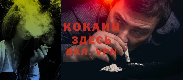 шишки Надым