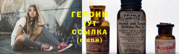 шишки Надым