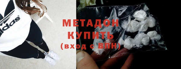 шишки Надым