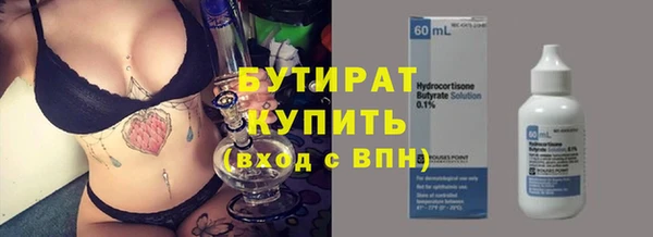 шишки Надым