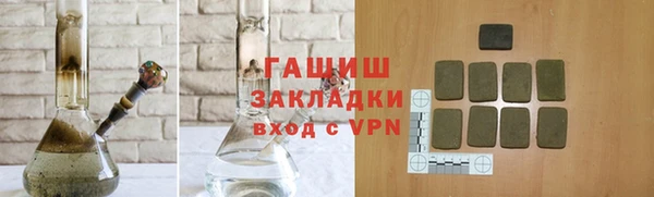 шишки Надым