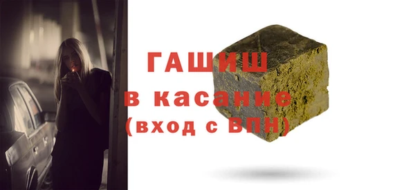 шишки Надым