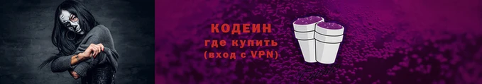 шишки Надым