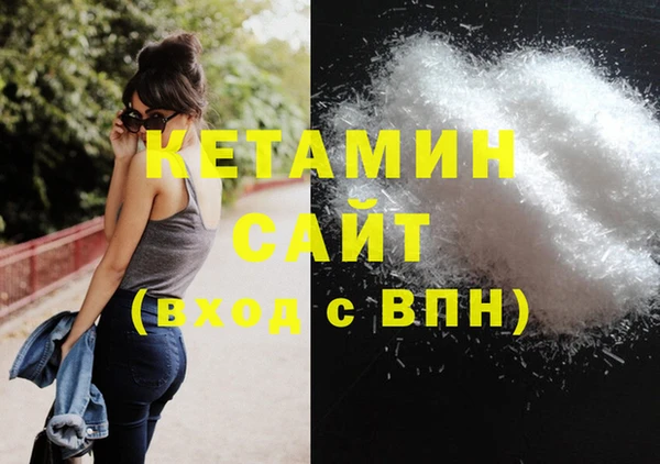 шишки Надым