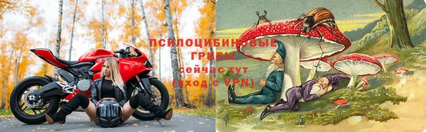 шишки Надым