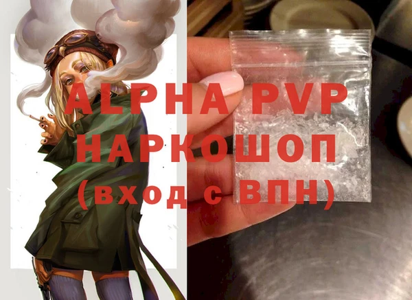 шишки Надым