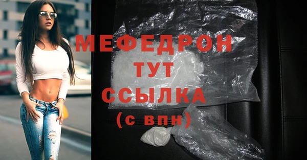 шишки Надым