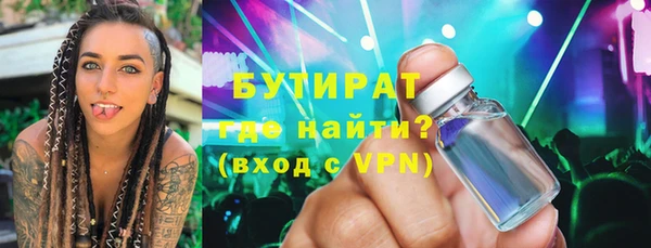 шишки Надым