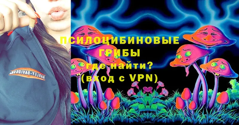 ссылка на мегу ТОР  Клин  Галлюциногенные грибы Psilocybine cubensis 