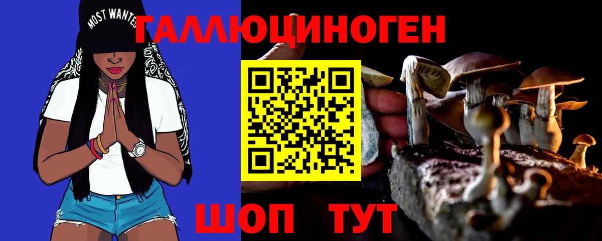 Клин  Псилоцибиновые грибы мухоморы  магазин    Вход с VPN  Галлюциногенные грибы GOLDEN TEACHER 
